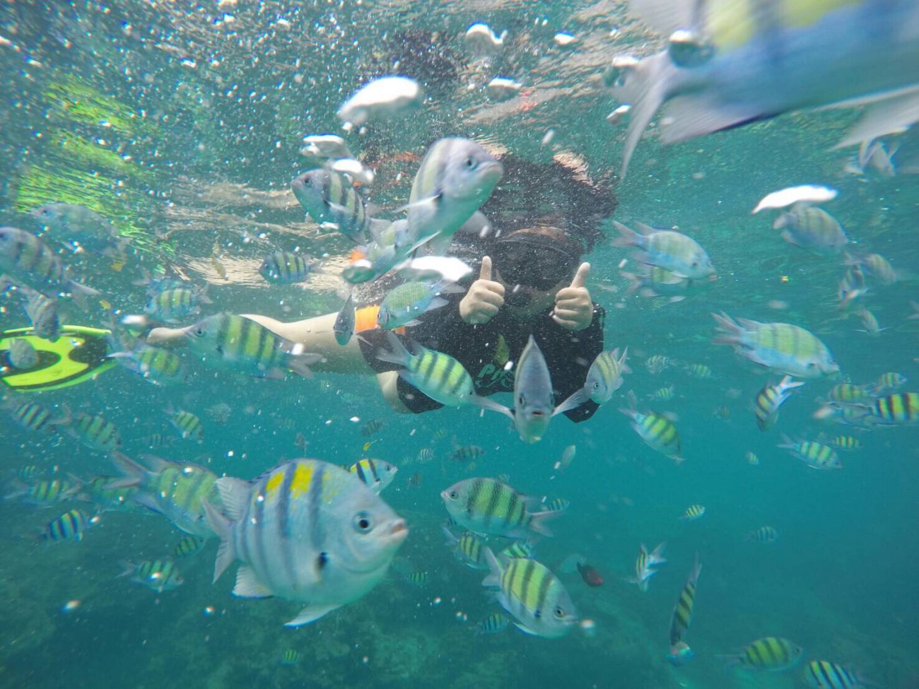 ดำน้ำ snorkeling