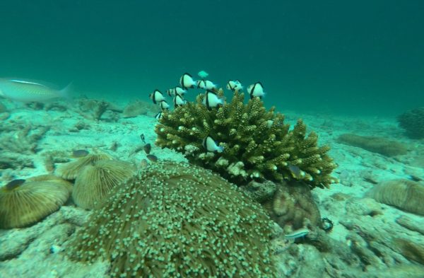 Cockburn Islands